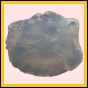 achlin_2083_a_001
