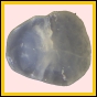 adixen_2115_a_001