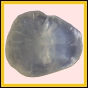 adixen_2115_b_002