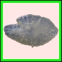 anchep_1274_a_001