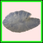 anchep_1274_b_003