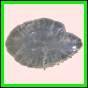 anchep_1378_b_002