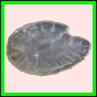 anchep_1380_b_002