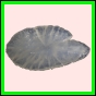 anchep_1386_a_002