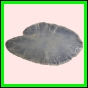 anchep_1387_b_002