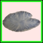anchep_1388_b_002
