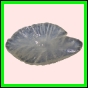 anchep_1440_a_002