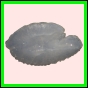 anchep_173_b_001