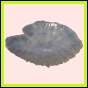 anchep_174_b_002