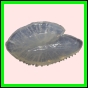 anchep_1760_a_001