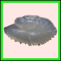 anchep_1763_a_001