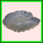 anchep_1763_b_002
