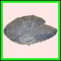 anchep_176_l_002