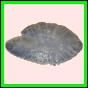 anchep_176_r_002