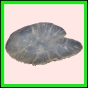 anchep_177_b_001