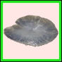 anchep_178_r_002