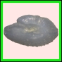 anchep_179_b_001