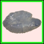 anchep_180_a_002