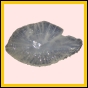 anchep_182_b_002