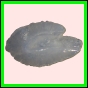 anchep_183_b_002