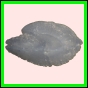 anchep_184_a_003