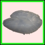 anchep_185_a_002