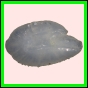anchep_185_b_001