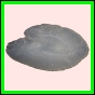 anchep_186_b_001