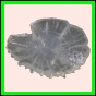 ancmit_1446_b_002
