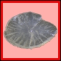 ancmit_1451_a_002