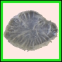 ancmit_1460_b_002