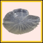 ancmit_1943_b_001