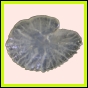 ancmit_613_l_002