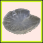 ancmit_891_b_001