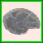 ancmit_893_b_002