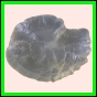 ancmit_894_b_002