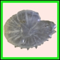 ancmit_896_a_001