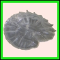 ancmit_898_a_001