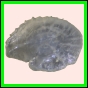ancmit_900_a_003