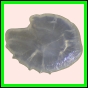 ancmit_903_b_001
