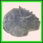 ancmit_905_b_002