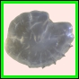 ancmit_907_b_001