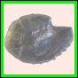 ancmit_908_a_002