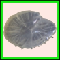 ancmit_910_a_003