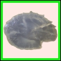 ancmit_916_b_001