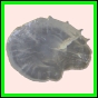 ancmit_917_a_002