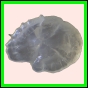 ancmit_917_b_001