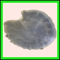 ancmit_918_b_003