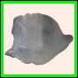 baichr_90_a_031