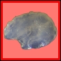brepat_1300_a_001